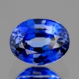 Natural Rare  Brazil Blue Apatite & Peridot Earrings