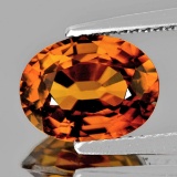 Natural AAA Imperial Orange Zircon 7.5x5.5 MM - VVS