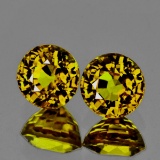 Natural AAA Yellow Mali Garnet Pair 5.50 MM - Flawless