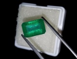 Natural Forest Green  Emerald 7.48 Cts