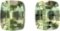 Natural Light Green Tea Amethyst Pair 26.75 Ct - FL