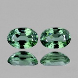 NATURAL CEYLON GREEN SAPPHIRE PAIR 7X5 MM - FL