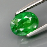 Natural Green Tsavorite Garnet Tanzania 1.01 Ct