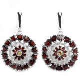 Natural Garnet & Citrine Earring