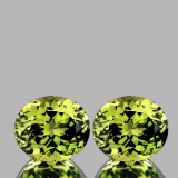 Natural  AAA Canary Green Mali Garnet Pair