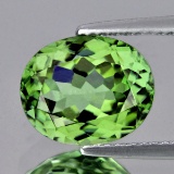 Natural AAA Green Apatite - 3.92 Ct - FLawless