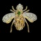 Natural Citrine Peridot Rhodolite Garnet Bee Brooch