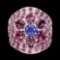 Natural Top Blue Violet Tanzanite Garnet Ruby Ring