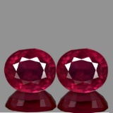 Natural AAA Fire Red Mozambique Ruby Pair