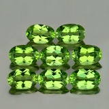 Natural AAA Green Peridot 8 Pcs{Flawless-VVS1}