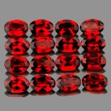 Natural AAA Fire Red Mozambique 16 Pcs - Flawless