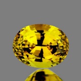 Natural Brilliant Golden Yellow Zircon [Flawless-VVS]