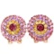 Natural RUBY CITRINE AMETHYST TOURMALINE Earrings