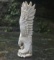 Stunning Hand Carved Antler Eagle