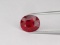 Natural Pigeon Blood Red / Vivid Red Ruby 1.54 Ct