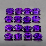 Natural AAA Purple Amethyst 16 Pcs {Flawless-VVS1}
