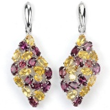 Natural Multi Gemstone EarRing