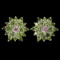 Natural Chrome Diopside Rhodolite Garnet Earrings