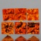 Natural AAA Golden Orange Sapphire 6 Pcs - FL