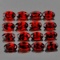 Natural Red Mozambique Garnet 25 Pcs - FL