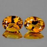 NATURAL GOLDEN YELLOW CITRINE Pair 9x7 MM - FL