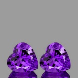 Natural Purple Amethyst Heart Pair {Flawless-VVS1}