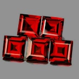 Natural Orange Red Garnet 5 Pcs [IF-VVS]