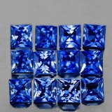 Natural Princess Blue Sapphire 12 Pcs[VVS]