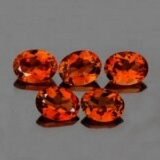 Natural Champagne Imperial Topaz 5 Pcs  {Flawless-VVS1}