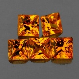 Natural Golden Yellow Sapphire 5 Pcs[Flawless-VVS]