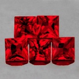 Natural AAA Princess Red Ruby 5 Pcs {Flawless-VVS}