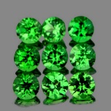 Natural Chrome Green Tsavorite Garnet 9 Pcs{VVS}