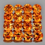 Natural Madeira Orange Citrine 16 Pcs (Flawless-VVS1}