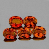 NATURAL CINNAMON ORANGE HESSONITE GARNET [VVS]