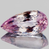 NATURAL BI-COLOR PINK KUNZITE 25x13 MM - FL