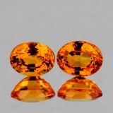 NATURAL ORANGE SAPPHIRE PAIR [FLAWLESS-VVS]