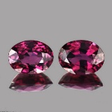 Natural AAA Raspberry Pink Rhodolite Garnet  Pair - FL