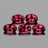 Natural  Rhodolite Garnet 5 Pcs[Flawless-VVS]