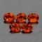 Natural Champagne Imperial Topaz 5 Pcs  {Flawless-VVS1}