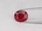 Natural Pigeon Blood Red / Vivid Red Ruby 1.54 Ct