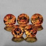 Natural Champagne Imperial Topaz 5 Pcs{Flawless-VVS1}
