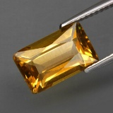 Natural Brazil Yellow Apatite 3.67 Cts - Untreated