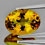 Natural AAA Golden Yellow Beryl 'Heliodor' 8x6 MM{VVS}