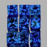 Natural Royal Blue Sapphire 12 Pcs [VVS]