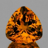 Natural Rare Madeira Golden Orange Citrine - Flawless