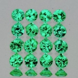 Natural Green Emerald 20 Pcs [VVS-SI]