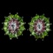 Natural Aquamarine Ch-Diopside Rhodolite Garnet EarRing