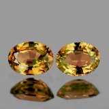 Natural AAA Color Change Garnet Pair  [VVS]