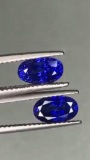 Natural Oval Royal Blue Sapphire Pair - VVS