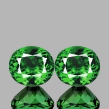 Natural Chrome Green Apatite Pair(Flawless-VVS1)